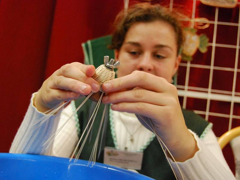 Gastroden ukázal umění studentů bzenecké potravinářské střední školy.