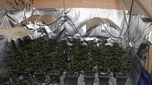 Pěstírnu marihuany našli jihomoravští policisté v Rahotci na Hodonínsku.