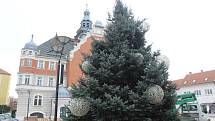 Novým vánočním stromem v Hodoníně je stříbrný smrk.
