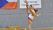 V Hodoníně se uskutečnilo mistrovství České republiky v moderní gymnastice. Ve sportovní hale TEZA se představilo třicet nejlepších závodnic do třiadvaceti let.