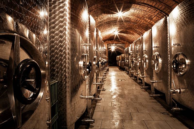 U Bzence roste obrovský vinařský komplex s moštárnou. Společnost Vinný dům plánuje produkovat až pět milionů litrů vína a půl milionu litru přírodního moštu z hroznů a sezonního ovoce.