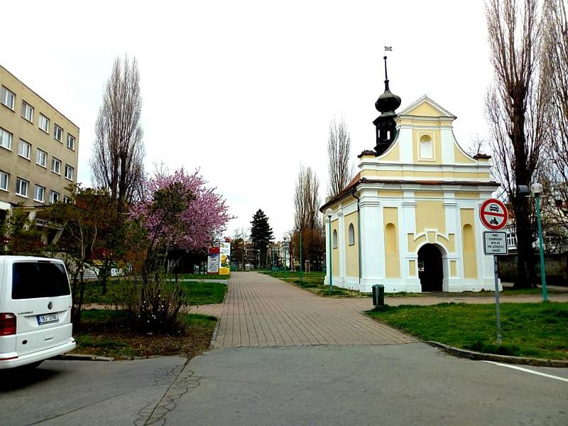 Hodonín se oblékl do jarních barev.