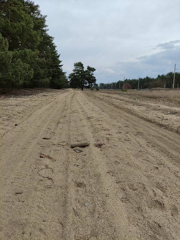 Moravská Sahara, jak se říká Národní přírodní památce Váté písky, je unikátním místem podél železniční trati mezi stanicemi Rohatec - Kolonie a Bzenec - Přívoz.