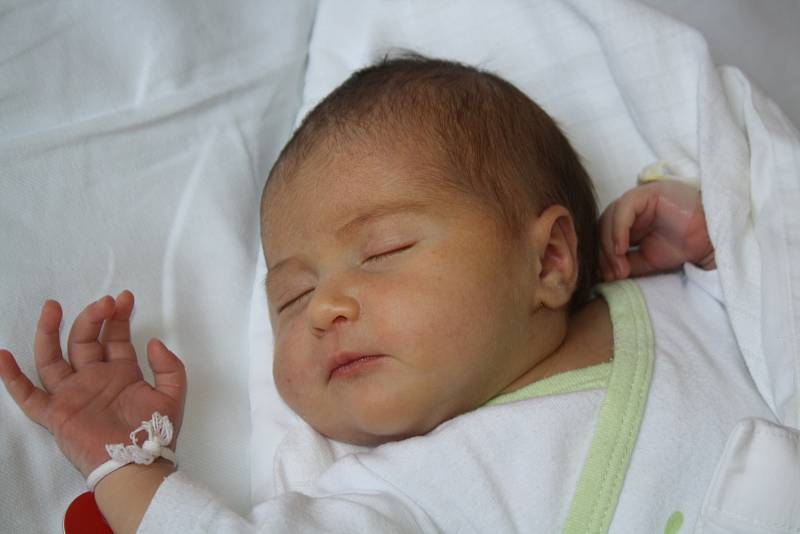 Michaela Němcová, 19.8.2015, Moravský Písek, 52 cm, 3,9 kg