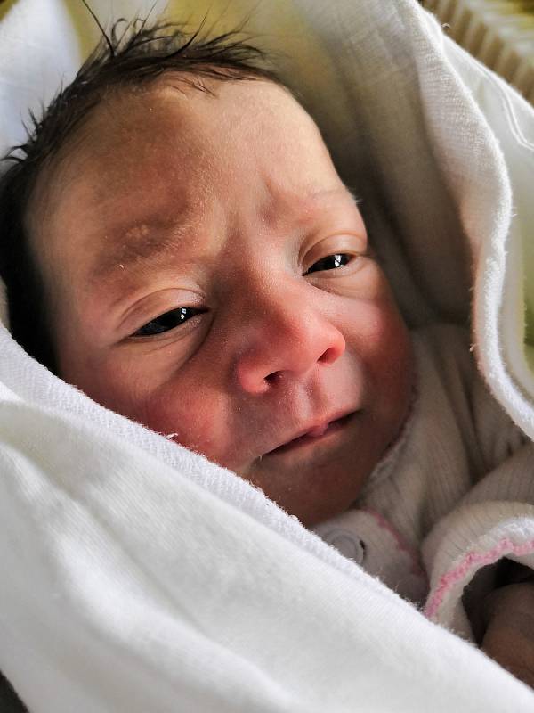 Tereza Peterková, narozená 6.3.2019 v 9:22, 2900 kg a 49 cm, nemocnice Kyjov