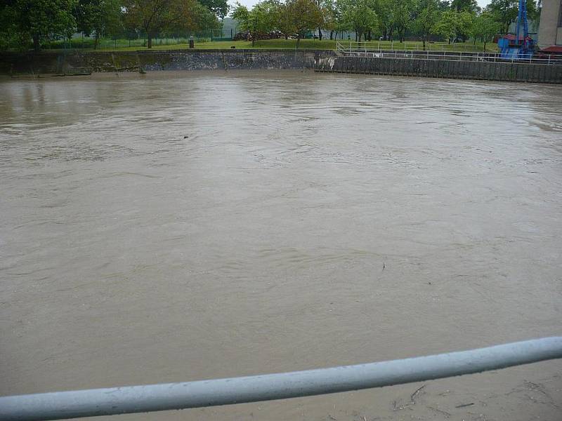 Řeka Morava u Hodonína v pondělí 17. května po 16.00