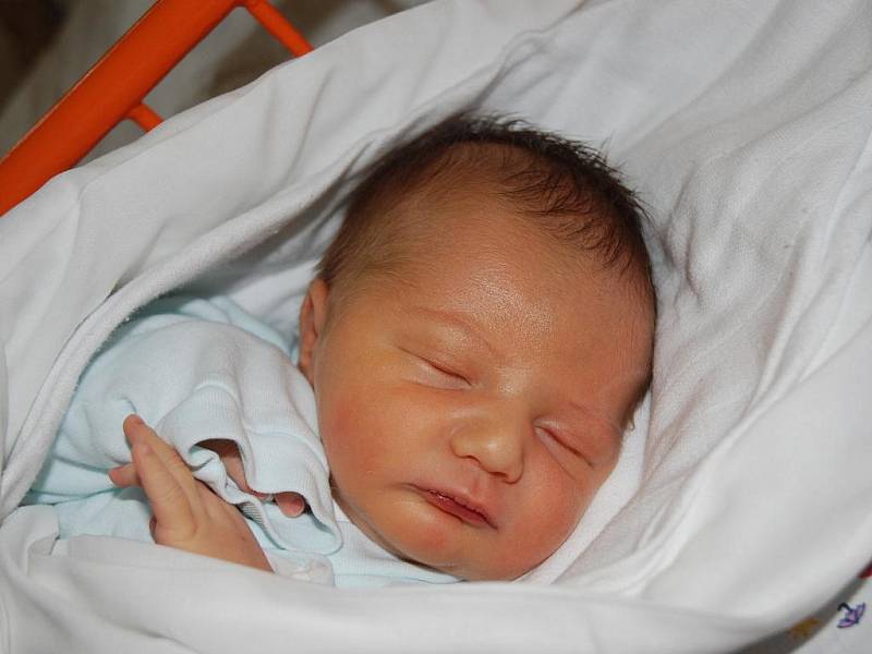 Tomáš Mička, 48 cm, 3,6 kg, 14. ledna 2010, Velká nad Veličkou