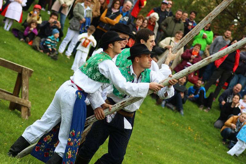 Tradičním stavěním máje a folklorním programem odstartovala nová návštěvnická sezona ve strážnickém skanzenu.