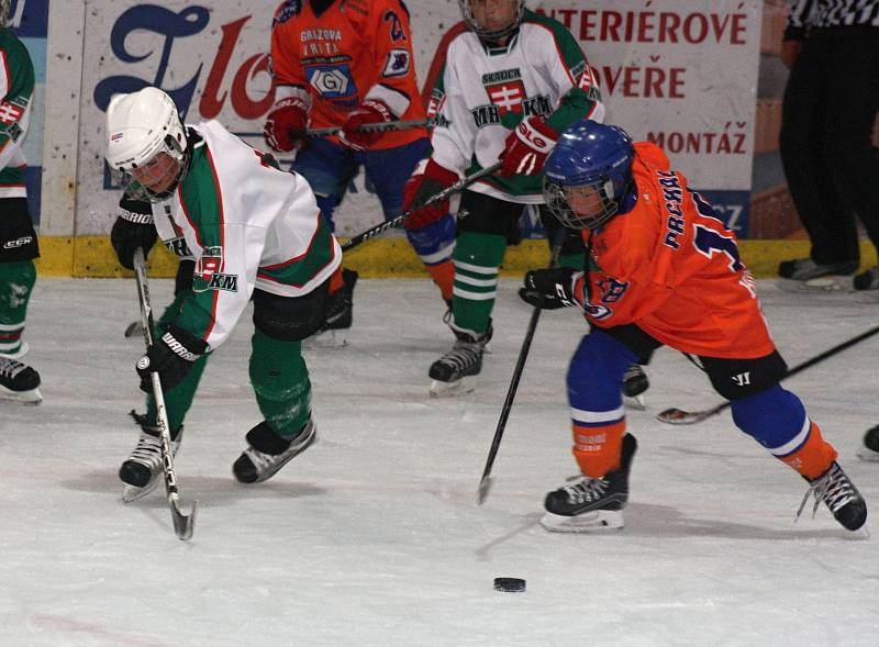 O víkendu se na Zimním stadionu Václava Nedomanského uskutečnil dvoudenní turnaj hráčů ročníku 2008 a 2009 v ledním hokeji. O vítězství na Asalonta Cupu se utkalo šestnáct družstev.