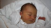 Lucie Přibilíková, 3.10.2014, 51 cm, 3,0 kg, Bučovice