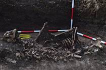 Archeologové objevili v hrobě u říčky Radějovky ostatky šesti lidí.