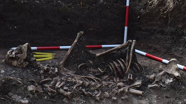 Archeologové objevili v hrobě u říčky Radějovky ostatky šesti lidí.