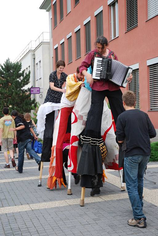 Svátek bláznů ve Veselí nad Moravou