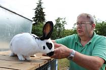 Třetí oblastní, třináctá okresní výstava mladých chovatelů a místní výstava králíků, drůbeže, holubů a exotů se konala v Kyjově.