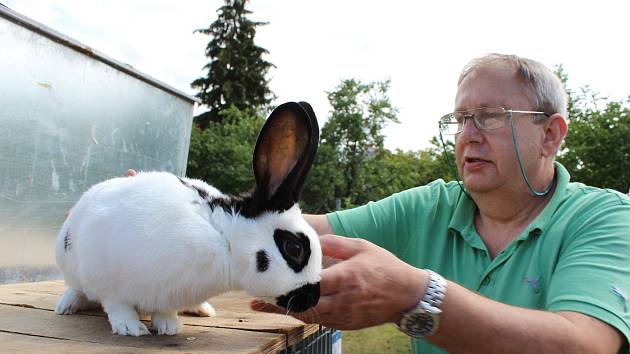 Třetí oblastní, třináctá okresní výstava mladých chovatelů a místní výstava králíků, drůbeže, holubů a exotů se konala v Kyjově.