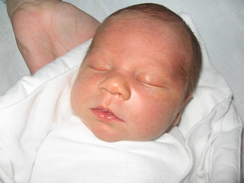 David Vašíček, 51 cm, 3,7 kg, 4.7. 2011, Hodonín