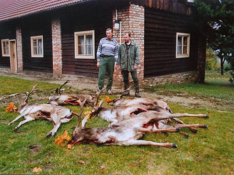 Radějovská obora.