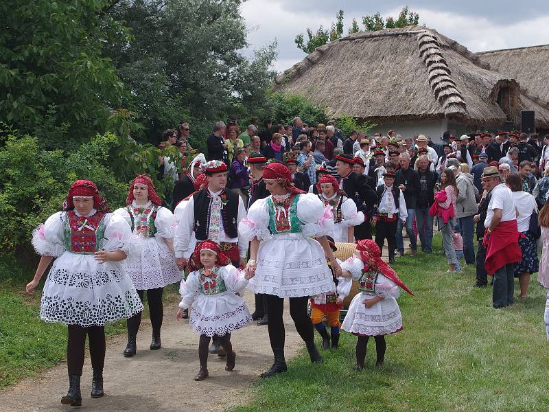 Strážnice o víkendu žila třiasedmdesátým folklorním festivalem. Jak slaví své hody, přijeli do Strážnice předvést krojovaní z Vracova.