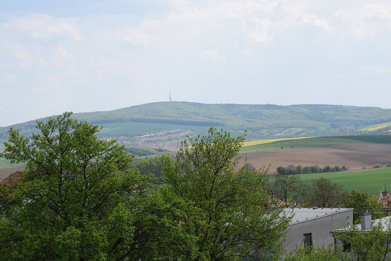 Senioři našli nejkrásnější květenu Žďánického lesa.