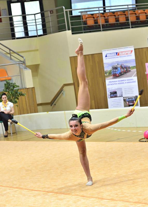 V Hodoníně se uskutečnilo mistrovství České republiky v moderní gymnastice. Ve sportovní hale TEZA se představilo třicet nejlepších závodnic do třiadvaceti let.