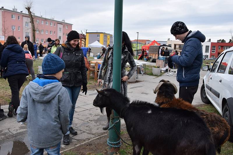 Bažantnici zaplnily nové stromy.