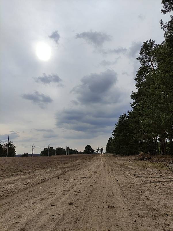 Moravská Sahara, jak se říká Národní přírodní památce Váté písky, je unikátním místem podél železniční trati mezi stanicemi Rohatec - Kolonie a Bzenec - Přívoz.