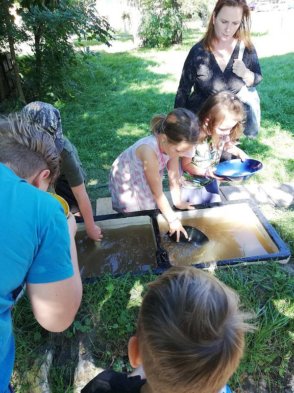 V pořadí již desátý ročník Burzy minerálů a fosilií  se konal 11.09.2021.