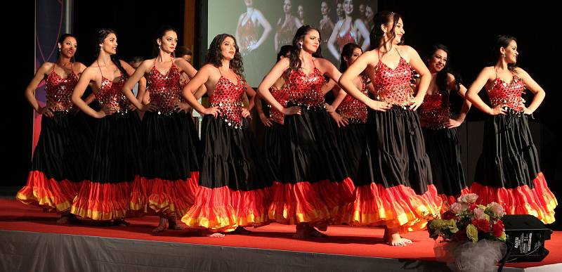 Soutěž Česko-slovenská Miss Roma 2017 se konala v Hodoníně. O titul královny krásy bojovalo dvanáct dívek.