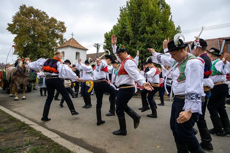 Tvářemi letošních Andělských hodů se stali mladší stárci Jakub Konečný a Kateřina Adamová a starší stárci Adam Bažant a Barbora Řičicová.