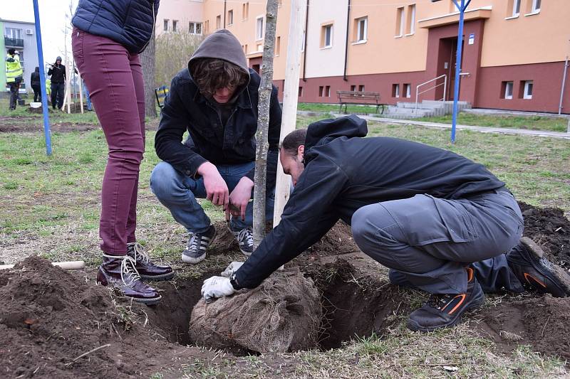 Bažantnici zaplnily nové stromy.