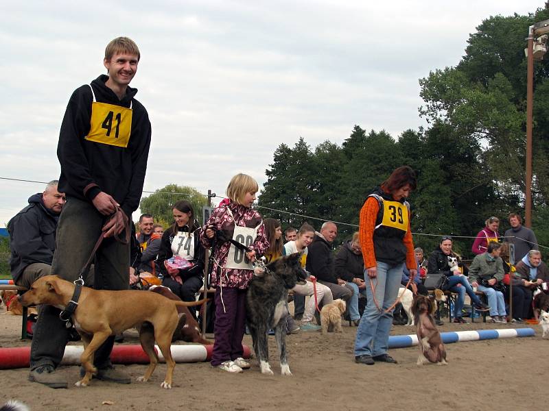 Happy dogs day (Šťastný psí den) ve Bzenci.