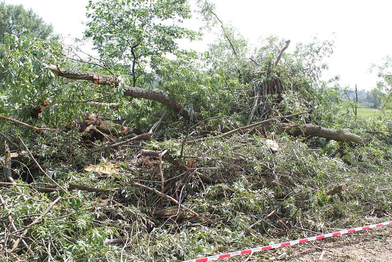 Bouřka polámala stromy na Baťově kanálu