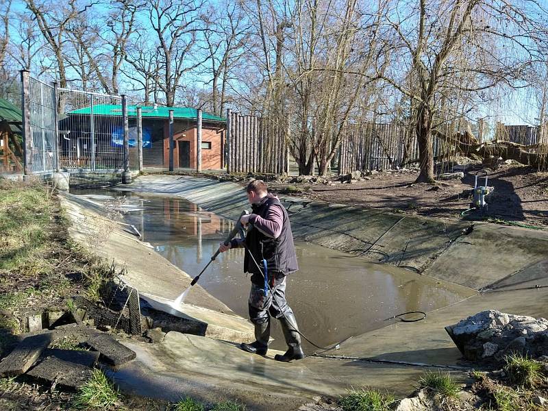 Čištění jezírka ve výbězích hodonínské zoo.