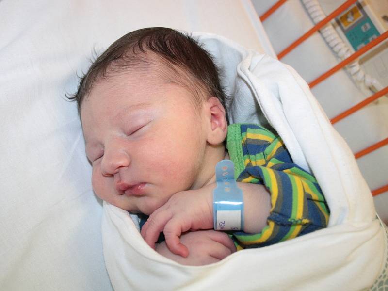 Deniel Mikula, 8.9.2013, Hodonín, 52 cm, 3,70 kg