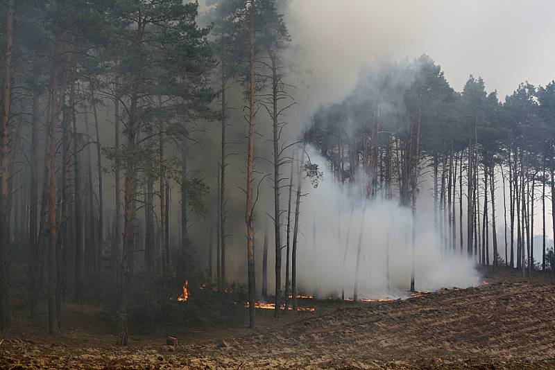 Asi největší lesní požár tohoto tisíciletí v České republice zasáhl téměř 165 hektarů porostů. 