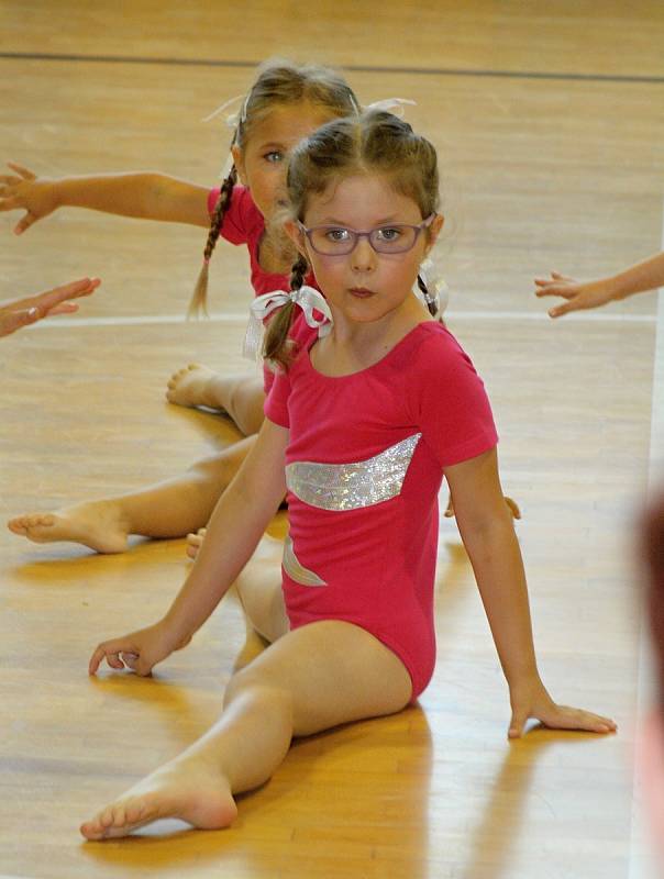 V Ratíškovicích si v sobotu připomněli výročí padesáti let od založení klubu sportovní gymnastiky. Slavnostního odpoledne se v tělocvičně základní školy zúčastnila také olympijská vítězka z roku 1948 Věra Růžičková.