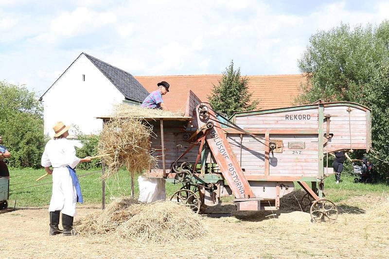 Dožínky ve skanzenu jsou ve Strážnici již tradiční folklorní akcí.