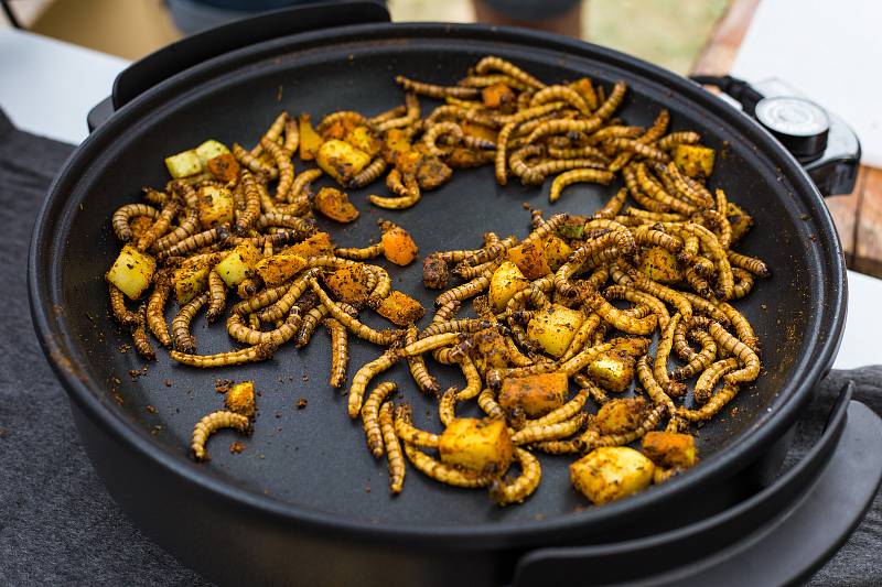 Garden Food Festival v Bzenci má za sebou úspěšnou premiéru.