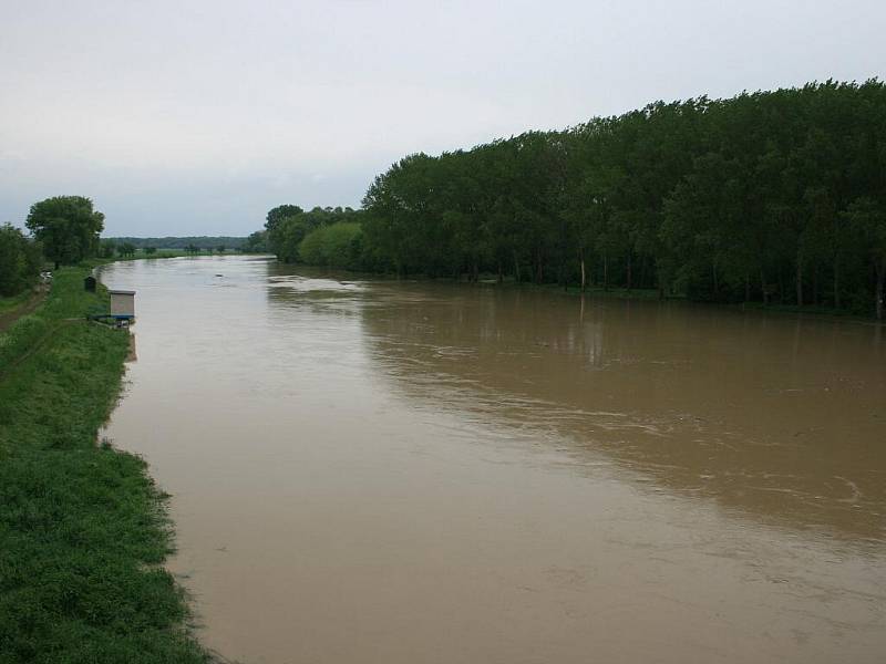 Morava mezi Strážnicí a Bzencem Přívoz v úterý 18. května 2010.