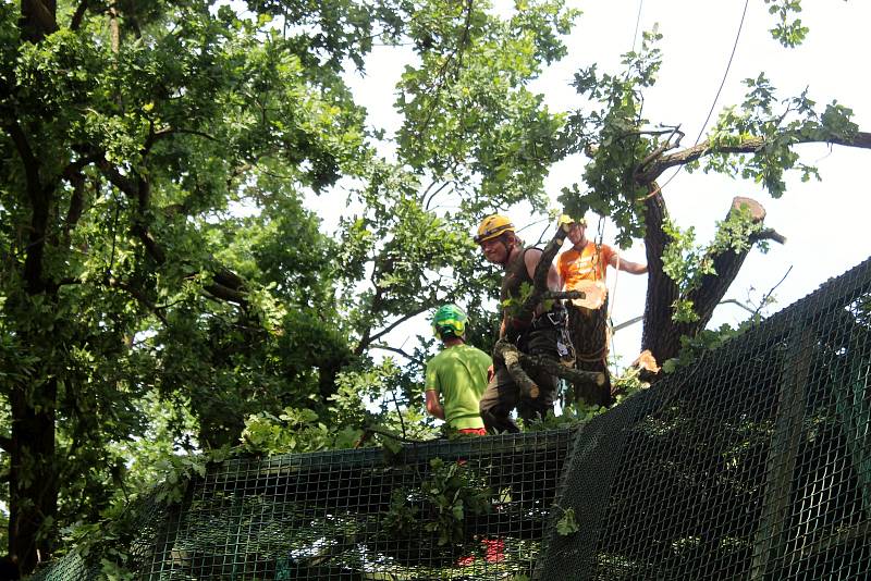 Hodonínská zoo po čtvrteční bouřce s tornádem.