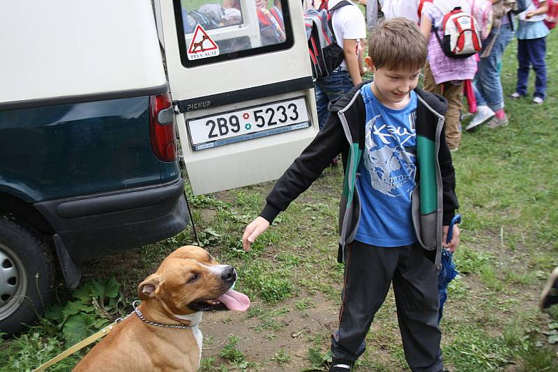 Dny bez úrazu v Hodoníně. Ukázka psího výcviku.