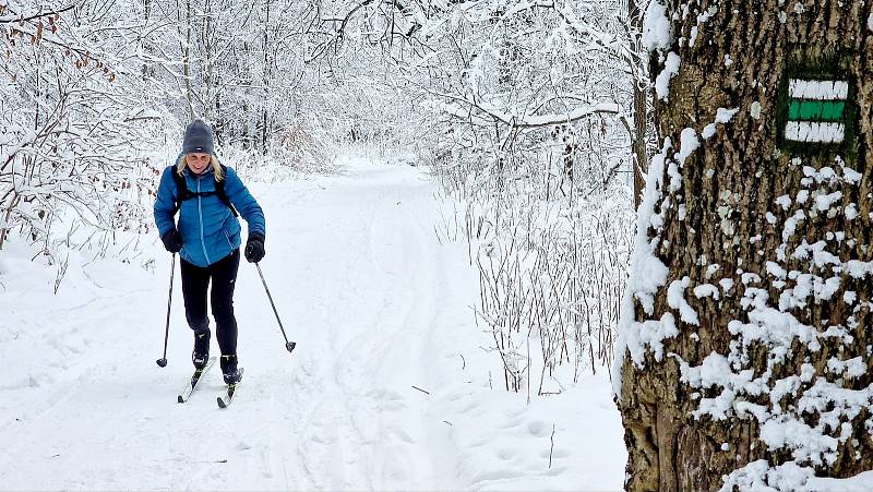 Milovníci běžek vyrazili do sněhem pokrytého Kubíkova vrchu.