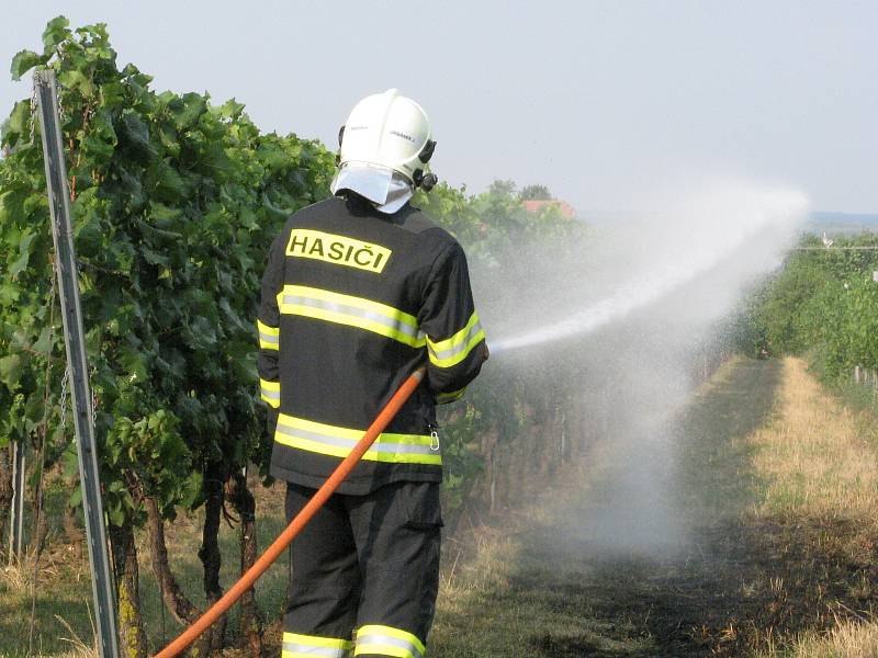 Požár strniště a vinohradu u Josefova.