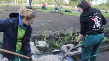 Soutěž mladých zahradníků Lipová ratolest v Hodoníně.