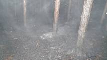 Lesní požár musely řešit hasičské jednotky od půl dvanácté v noci na pátek jižně od Vracova.