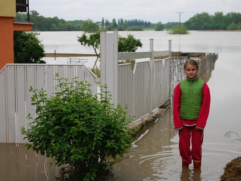 Rozvodněná Morava u Rohatce