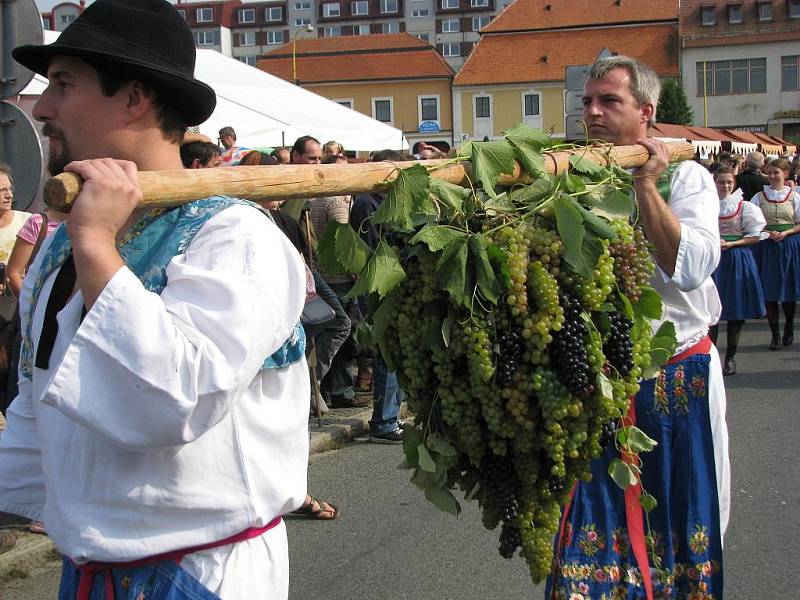 Strážnické vinobraní 2009