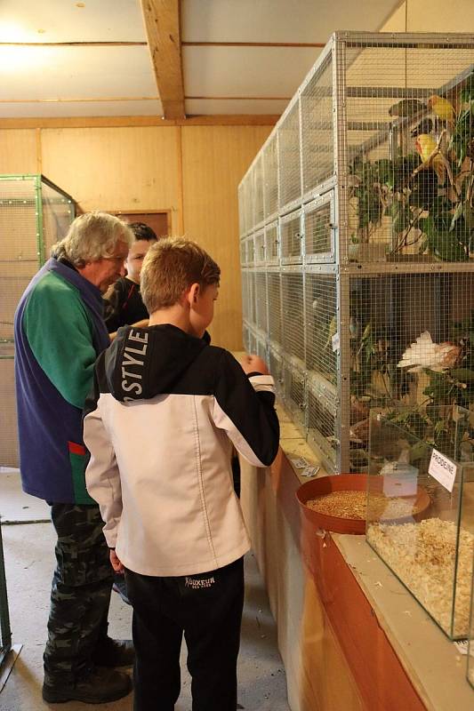 Výstava drobného zvířectva láká návštěvníky na přehlídku hospodářských zvířat i domácích mazlíčků.