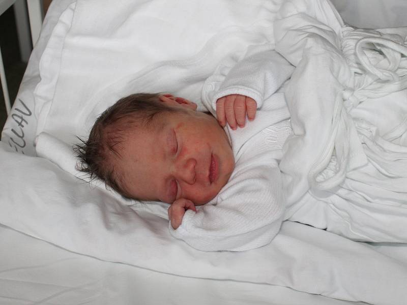 Dominik Krýsa, 18.9.2013, Dubňany, 46 cm, 2,40  kg