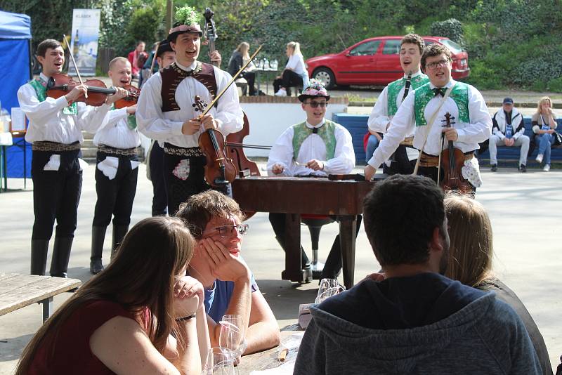 Festival otevřených sklepů zavítal na Strážnicko, kde stovky lidí přilákaly petrovské Plže.